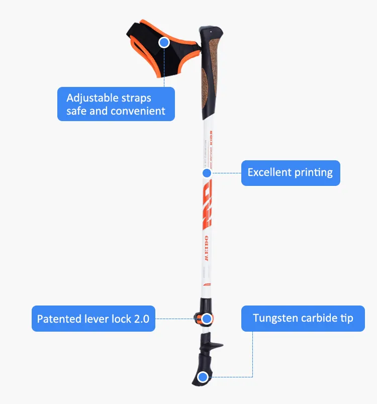 c91cc2bfb79a7f6f07aa6a2357303cf