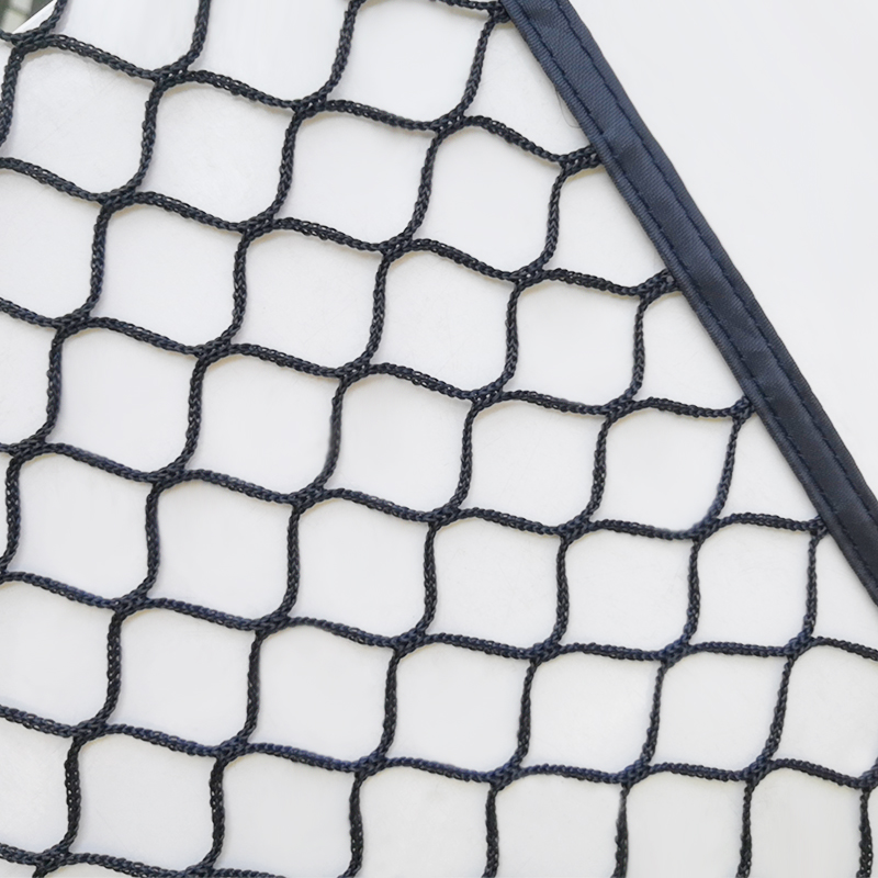 Training or Entertainment Type Golf Goals Goal