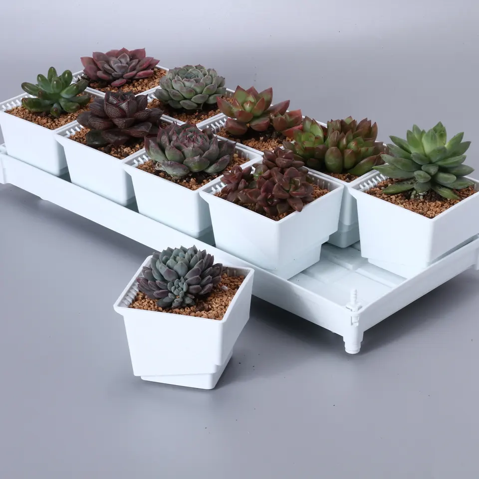 Succulent Plant Flower Pot Square Box Decorative Container Garden Supplies
