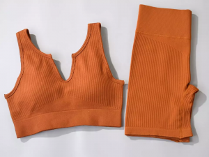 Gano deep U V sport bra motorcycle ensemble yoga fitness shorts workout set