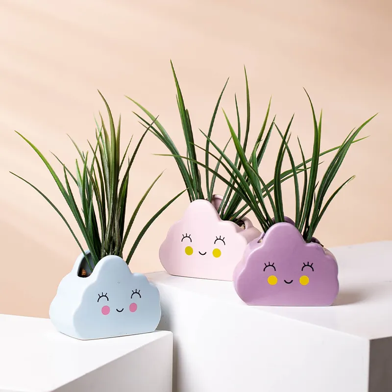 Custom Cartoon Cloud Shape Planter Plant Pots Ceramics Succulents Pots For Home Garden Decor
