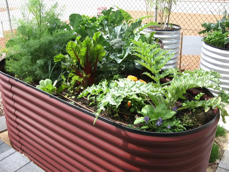planters box steel raised garden bed / metal steel vegetable planter raised garden beds
