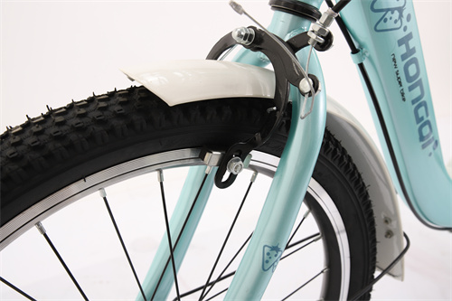 20” _22” City Bike Bicycle for Man Woman Mountain Bike Cycle New Adult Bike City Road Bicycle