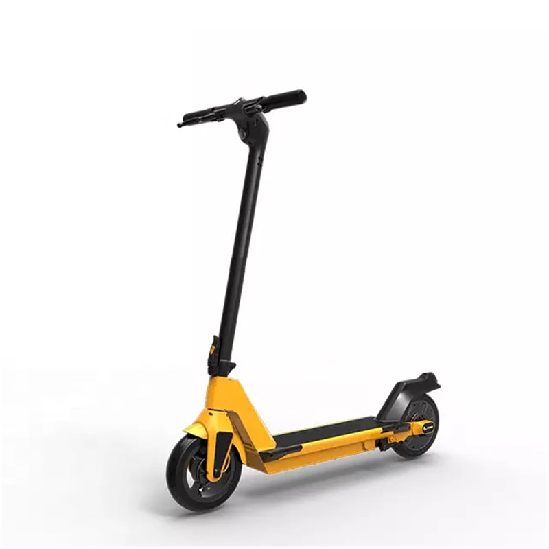 Customized new fashion sports scooter