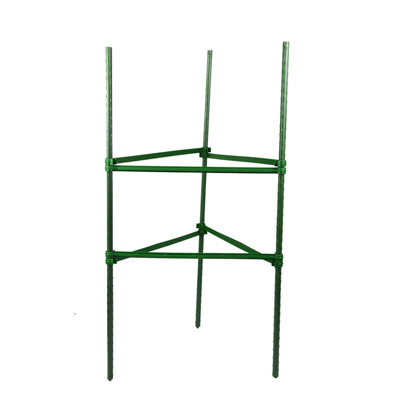 ee33daeb2ad9fed3b3f10f121e81541