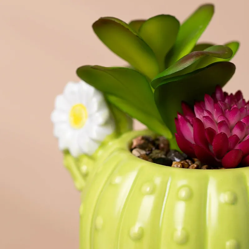 Cartoon Cactus Succulent Plants Planters Mini Small Ceramic Bonsai Pot Artificial Plant Suculentas Macetas Flower Pots