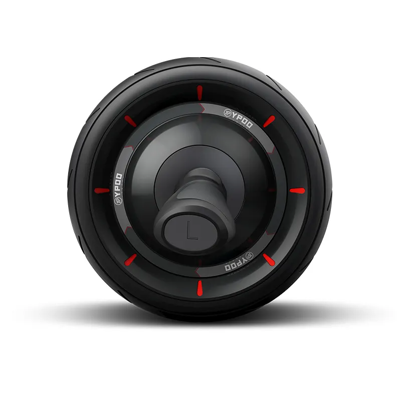 ABS plastic fitness equipment works abs double wheels