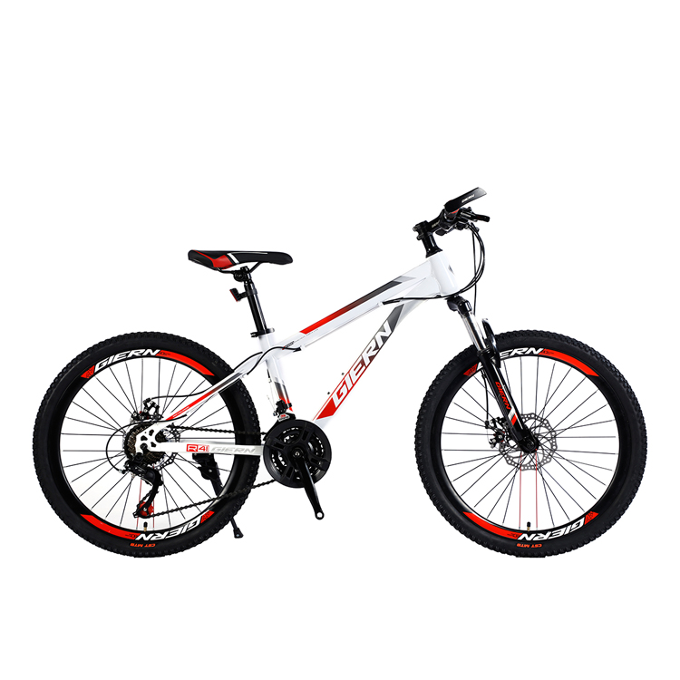 hot sale factory direct supply high quality oem custom logo 24 inch bicycle mountain bike mountain bicycle