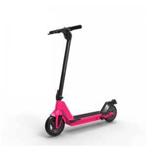 Customized new fashion sports scooter