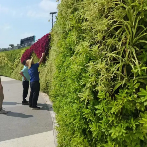 Honeycomb Variety Box 16 Holes-Plastic Stackable Plant Green Wall System Decorative Flower Pots