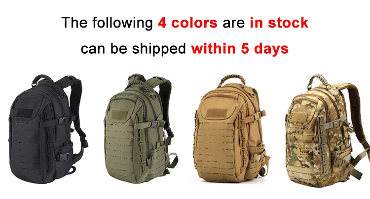 61a257fe0438194748e3410c0c51f29