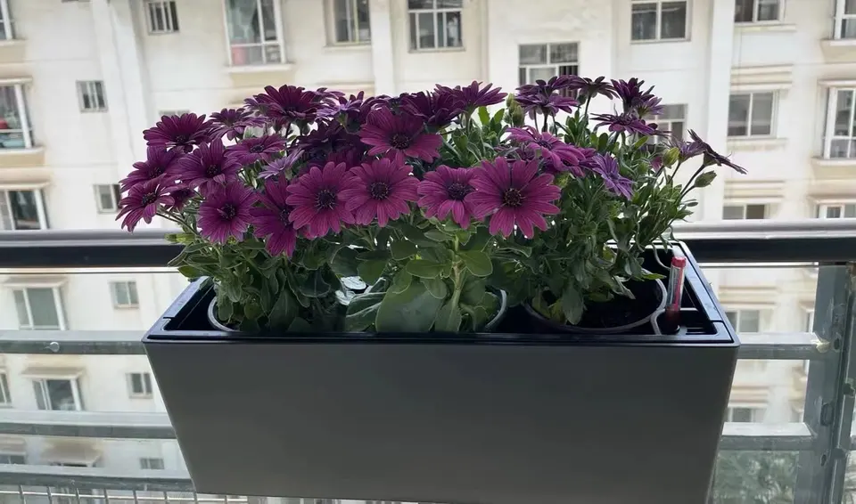 indoor or outdoor gardening supplies wall mounted planter plastic flower pots