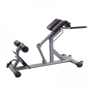 Roman chair with adjustable press machine