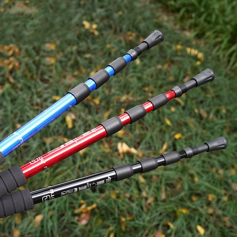 80d80fc06e998ba74232299276e9031