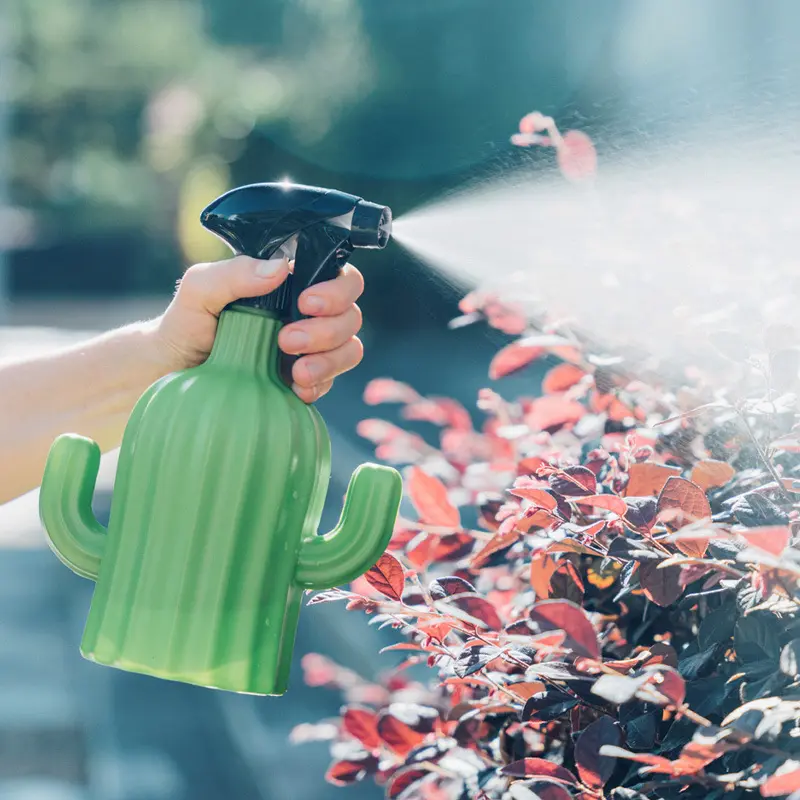 Prickly Pear Creative Network Personality Gardening Watering Flower Hand Pressure Spray Pot