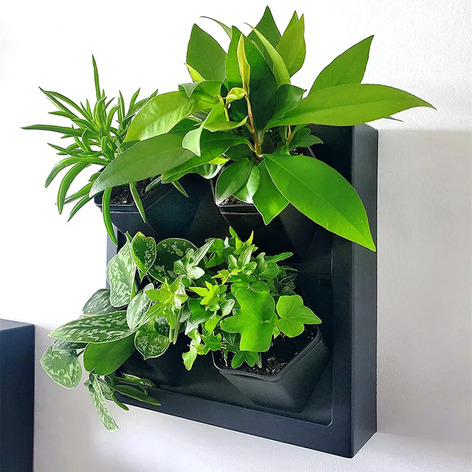 New Design Self-Watering Planter for The Home Artist of Green Wall 4 Pots Wall Planter