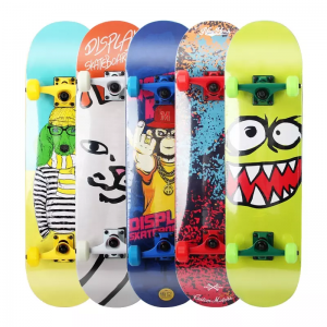 Professional Skateboard Maple Origin Deck Skateboard for Adults