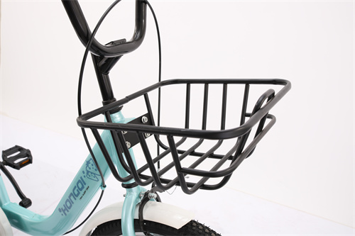 20” _22” City Bike Bicycle for Man Woman Mountain Bike Cycle New Adult Bike City Road Bicycle