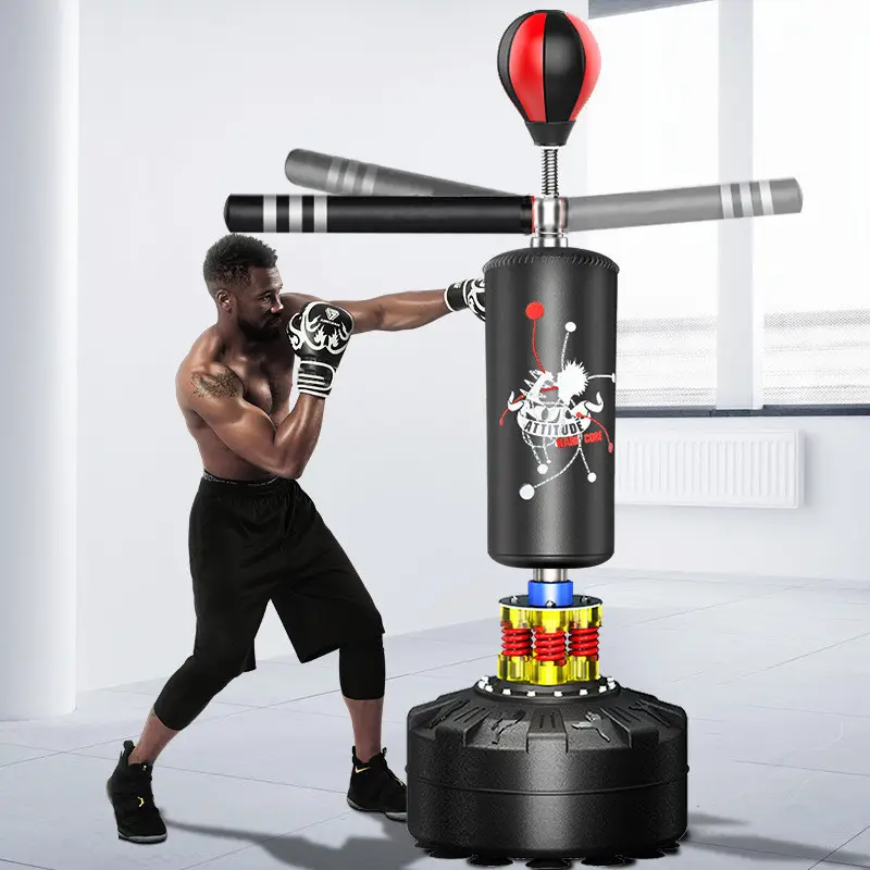 Multifunctional boxing gym equipment