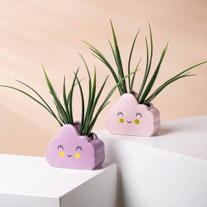 Custom Cartoon Cloud Shape Planter Plant Pots Ceramics Succulents Pots For Home Garden Decor